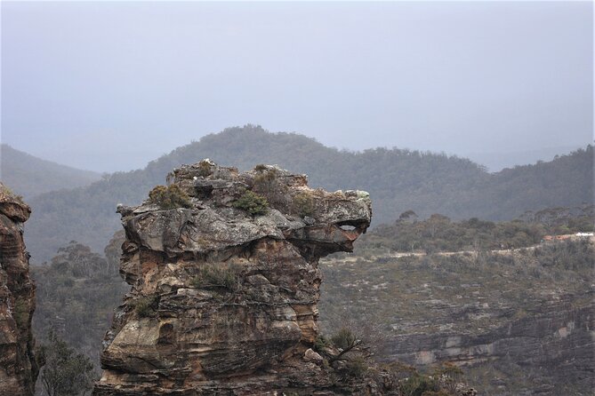 Blue Mountains Private Tour - Choosing the right bushwalk