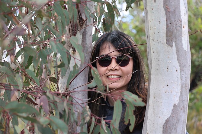 Blue Mountains Private Tour - Searching for kangaroos and wallabies