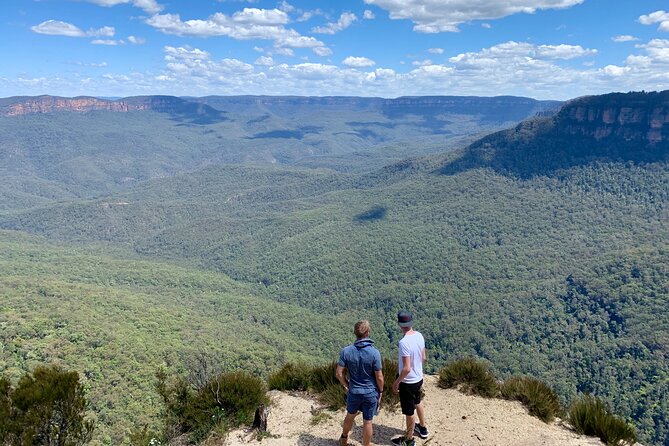 Blue Mountains Private Tour From Sydney, & Featherdale Aussie Animal Park Option - Blue Mountains Private Tour at a Glance