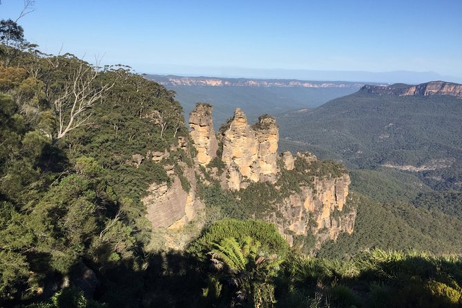 Blue Mountains Private Tour From Sydney, & Featherdale Aussie Animal Park Option - Why This Private Day Trip Works