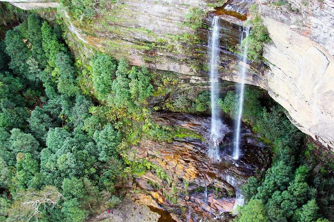 Blue Mountains Private Tour including Wildlife Park - Scenic World turns the forest into a ride