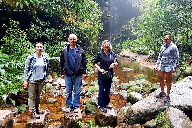 Blue Mountains Private Tour including Wildlife Park - Featherdale Wildlife Park begins the Australian lesson