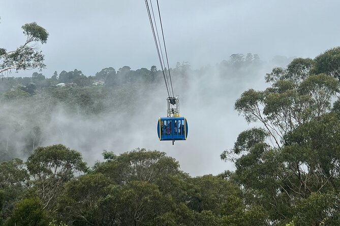 Blue Mountains Private Tour & Scenic World Included - Key points at a glance