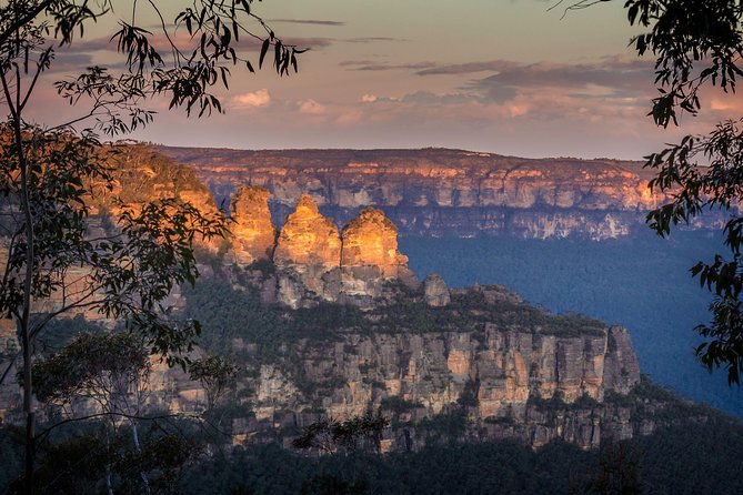 Blue Mountains Private Tour with Kangaroo and Koala Experience - Key points to know before booking