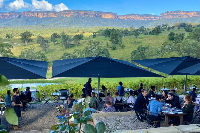 Blue Mountains Private Tour with Kangaroo and Koala Experience - What happens on a rainy or foggy day?