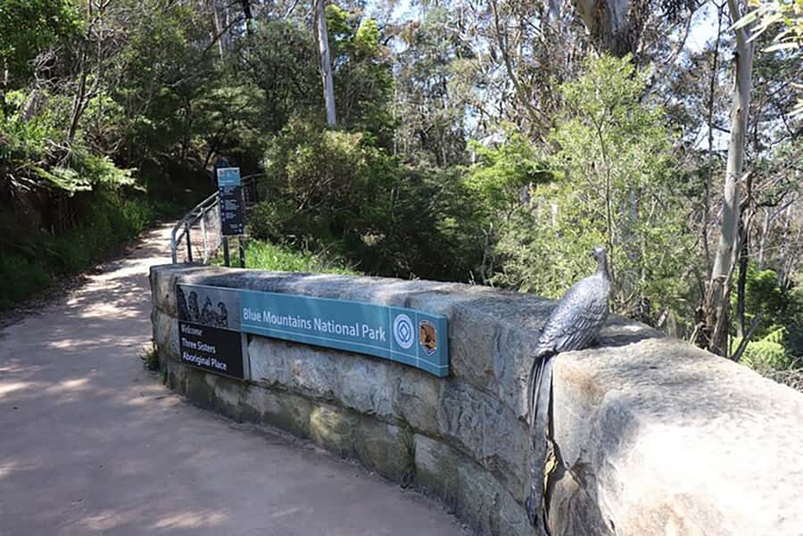 Blue Mountains: Private Tour with Wildlife and River Cruise - How the value compares with a regular day tour
