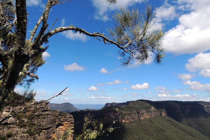 Blue Mountains Small-Group Insider Tour from Sydney - Why this makes a strong Sydney day trip