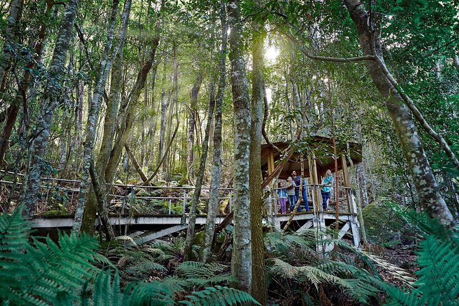 Blue Mountains Small-Group Tour from Sydney with Scenic World,Sydney Zoo & Ferry - The ferry return to Circular Quay
