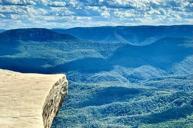 Blue Mountains Small Group Tour w/optional Scenic World & Lunch - Why the early start pays off at Featherdale