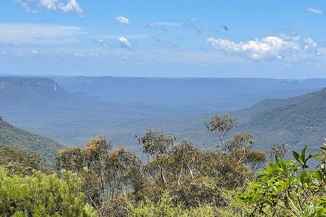 Blue Mountains Small Group Tour w/optional Scenic World & Lunch - Wentworth Falls adds a walk and a choice