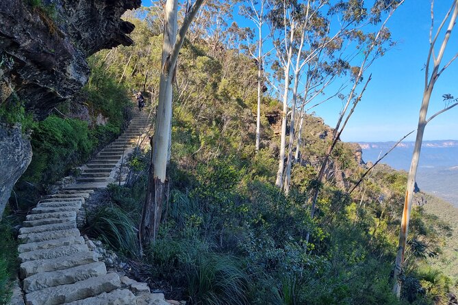 Blue Mountains Small Group Tour with Lunch, Zoo and Scenic World - The guides and the feel of a small group
