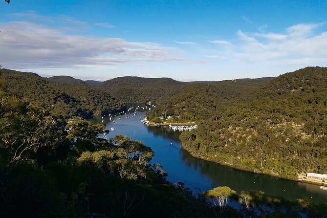 Blue Mountains Small Group Tour with Lunch, Zoo and Scenic World - Is $204.41 good value?