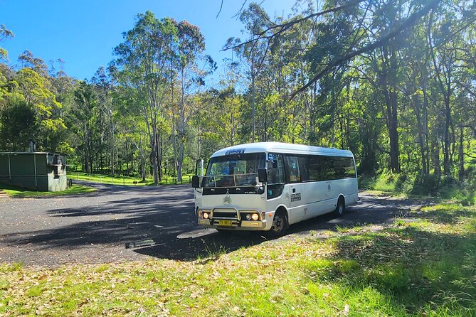 Blue Mountains Small Group Tour with Waterfall Walk & Fresh Lunch - Who should book this tour