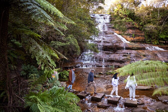 Blue Mountains Sunset Tour with Kangaroo Sightings from Sydney - Why the late departure works so well