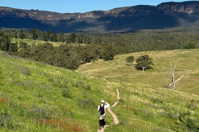 Blue Mountains Sunset Tour with Kangaroo Sightings from Sydney - Kangaroos: a bonus, not the main event