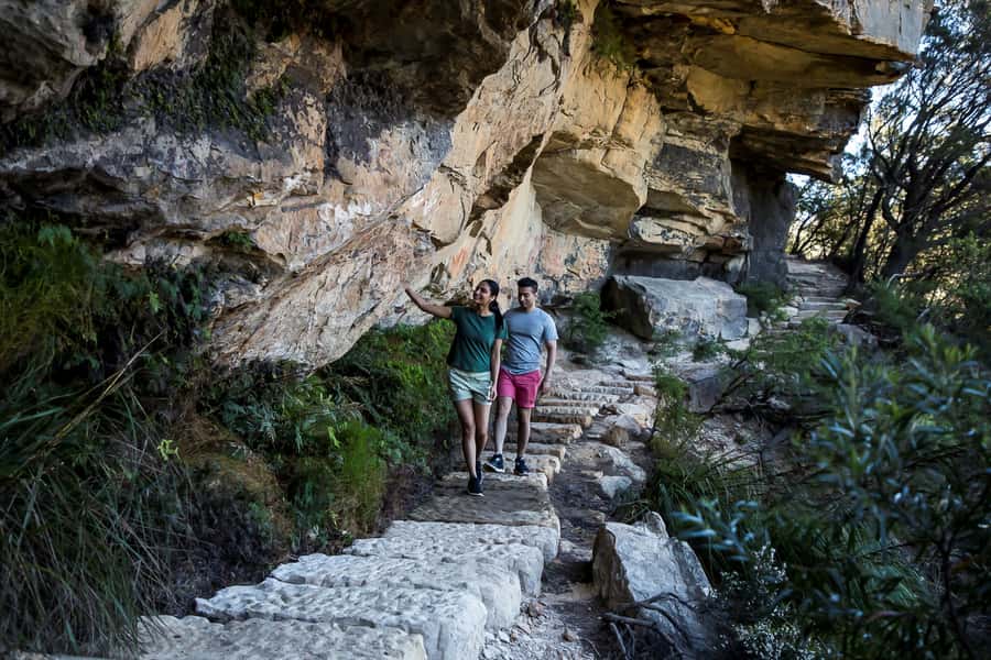 Blue Mountains Sunset Waterfalls Wildlife Tour From Sydney - How to get the most from the day