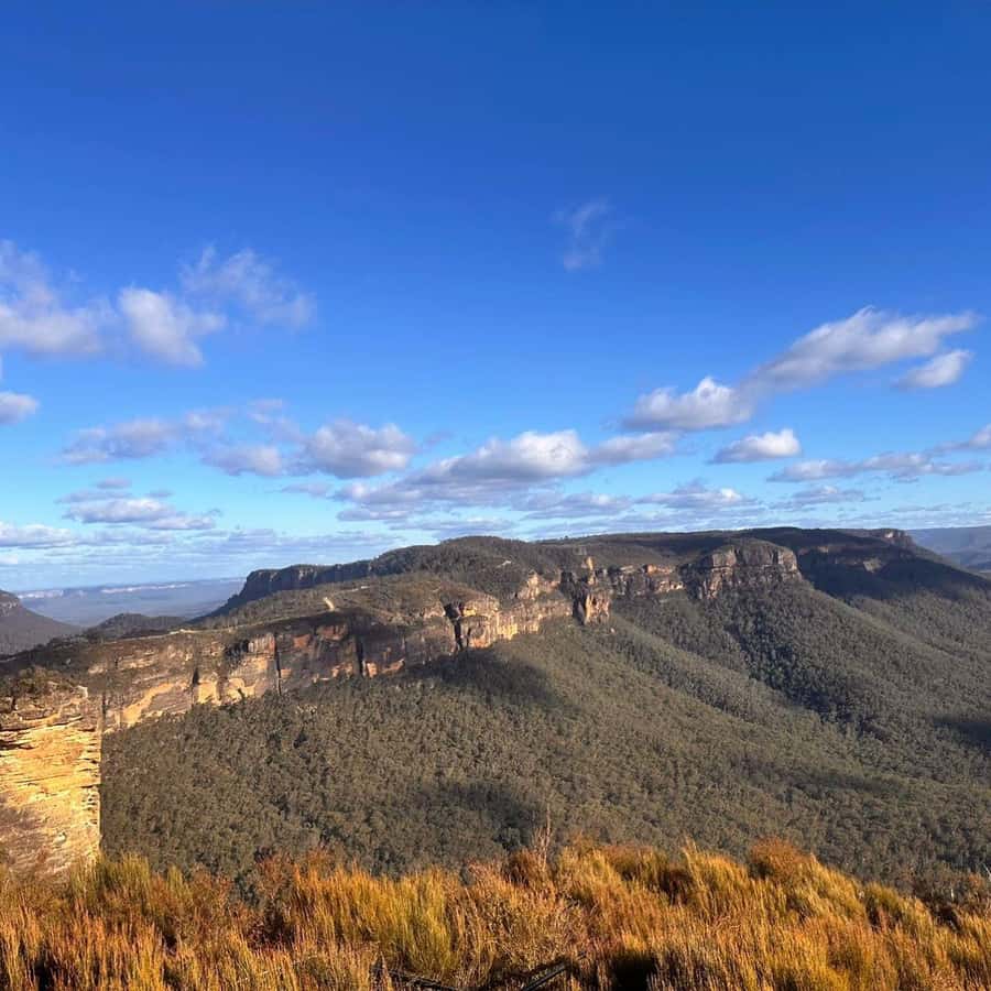 Blue Mountains Tour, Katoomba Falls & Cockatoos Small Group - Pickup details you should confirm