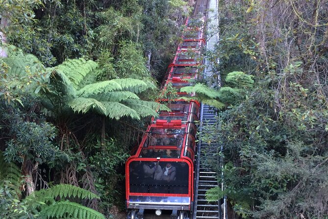 Blue Mountains Tour PRIVATE with Wildlife Park and River Cruise - Australian animals at Sydney Zoo or Featherdale
