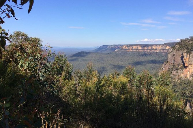 Blue Mountains Tour PRIVATE with Wildlife Park and River Cruise - Returning to Sydney by ferry
