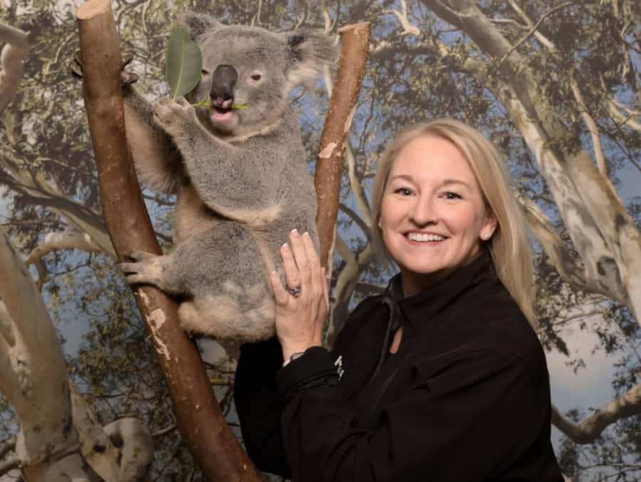 Blue Mountains Tour - Small grp, Koala, Kangaroo & Waterfall - A long day that covers the Blue Mountains essentials