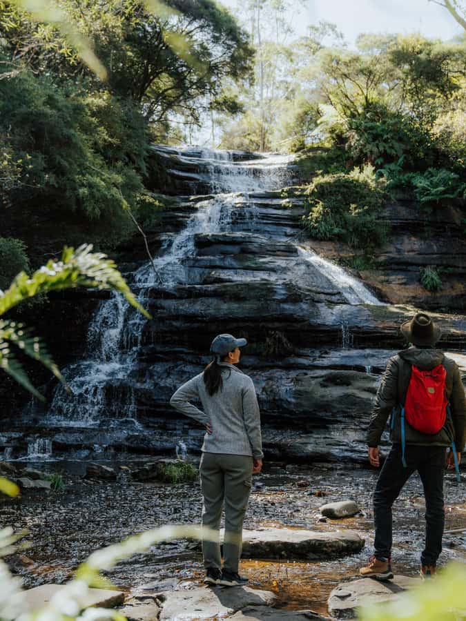 Blue Mountains Tour - Small grp, Koala, Kangaroo & Waterfall - Guide quality can shape the whole day