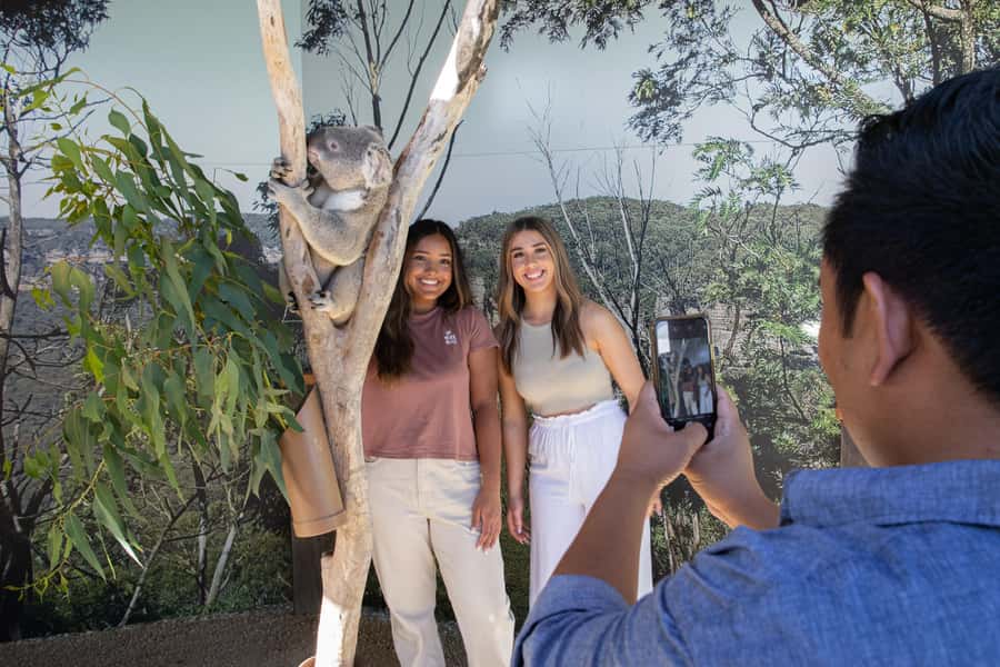 Blue Mountains Tour w/Lunch: Scenic World, Zoo & Koala Photo - Key points to know before booking