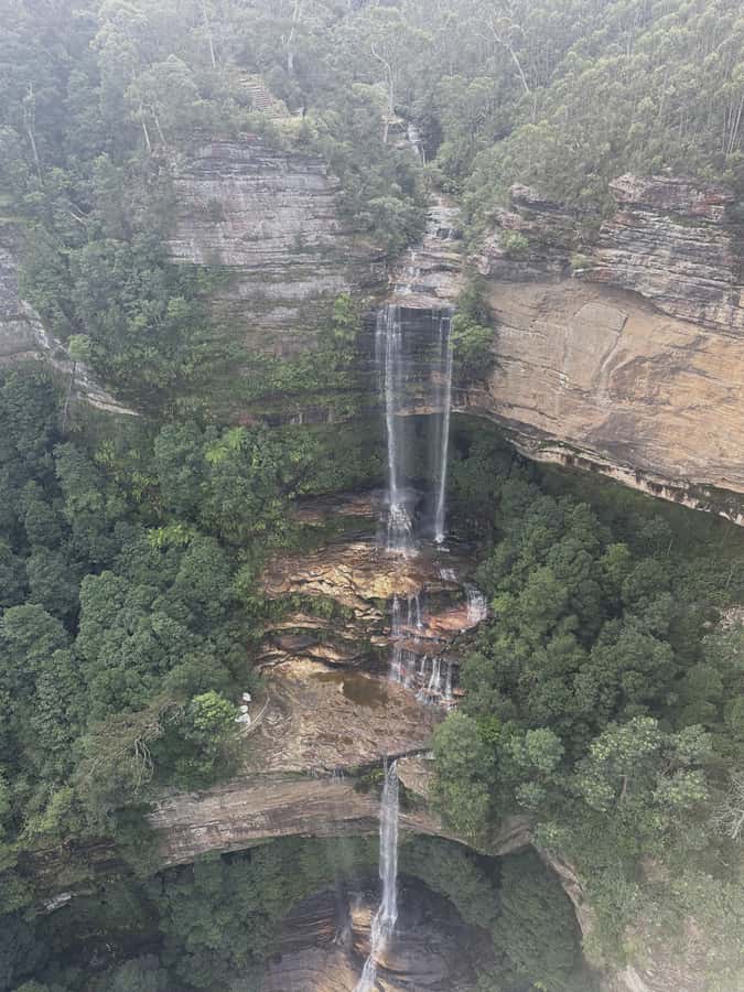 Blue Mountains Tour w/Lunch: Scenic World, Zoo & Koala Photo - Scenic World brings three very different rides