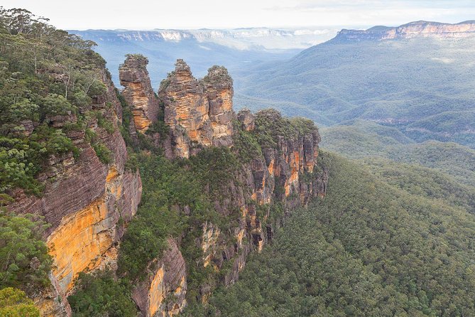 Blue Mountains Ultimate One-Day Tour from Sydney - Featherdale Wildlife Park starts the Australian animal experience