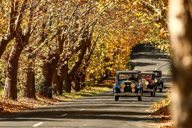 Blue Mountains Vintage Cadillac Tour with Local Guide - A private two-hour route through Leura