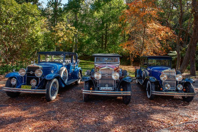 Blue Mountains Vintage Cadillac Tour with Local Guide - Eagle Hawk Lookout and Cliff Drive