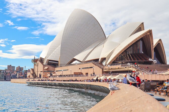 Bondi & Sydney Sights Trike Tour 1.5hrs - The guide and the private two to three passenger format