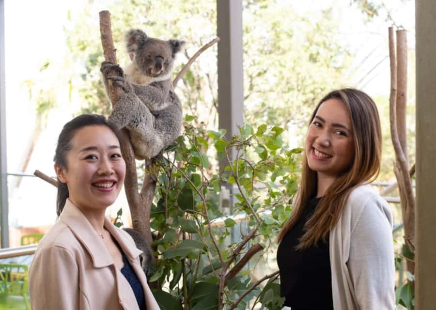 Breakfast with Koalas at WILD LIFE Zoo Darling Harbour - 7:30 to 8:30, the zoo before opening