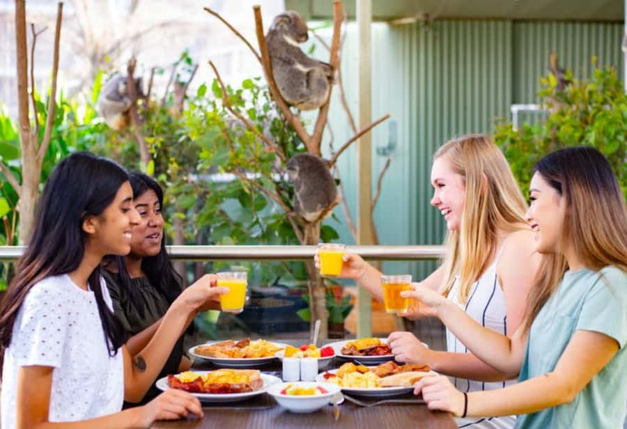 Breakfast with Koalas at WILD LIFE Zoo Darling Harbour - Arriving at 7:15 for the first cup of tea