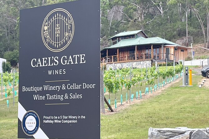 Cael's Gate Wine and Ploughman’s Lunch in Hunter Valley - The tasting: a guided introduction to Hunter Valley wine