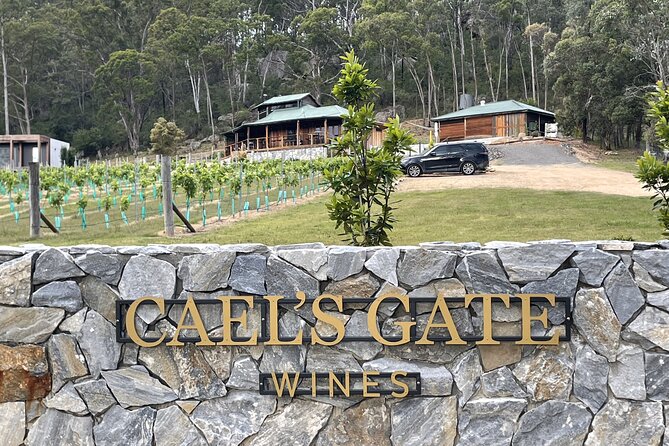 Cael's Gate Wine and Ploughman’s Lunch in Hunter Valley - From wine tasting to a full Ploughman’s lunch