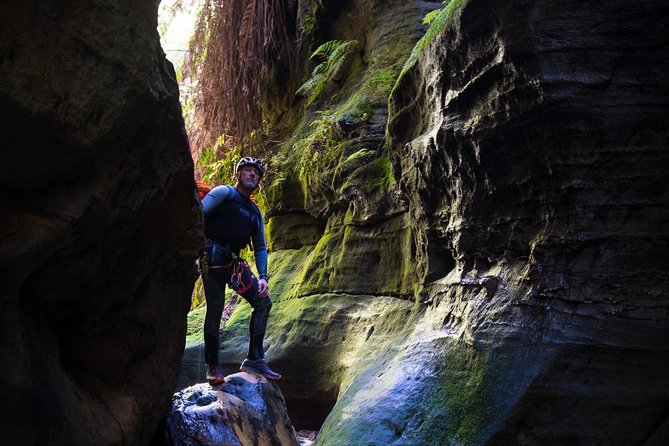 Canyoning at Twister and Rocky Creek: Two Canyons In One Day - Two Blue Mountains canyons, two different moods