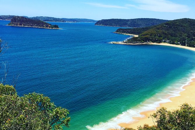 Central Coast Private Tour From Sydney, with Australian Reptile Park Option - Key points to know before you book