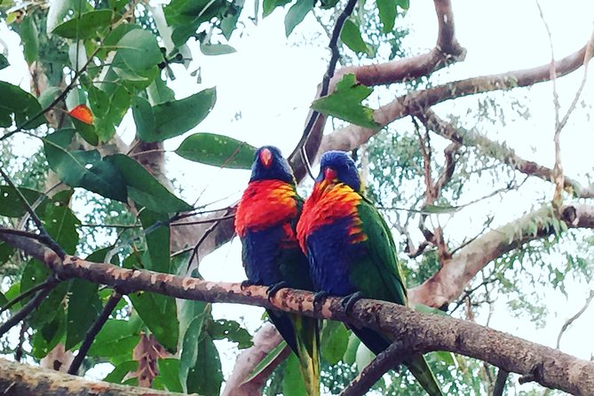 Central Coast Private Tour From Sydney, with Australian Reptile Park Option - Ettalong Beach and lunch at the club