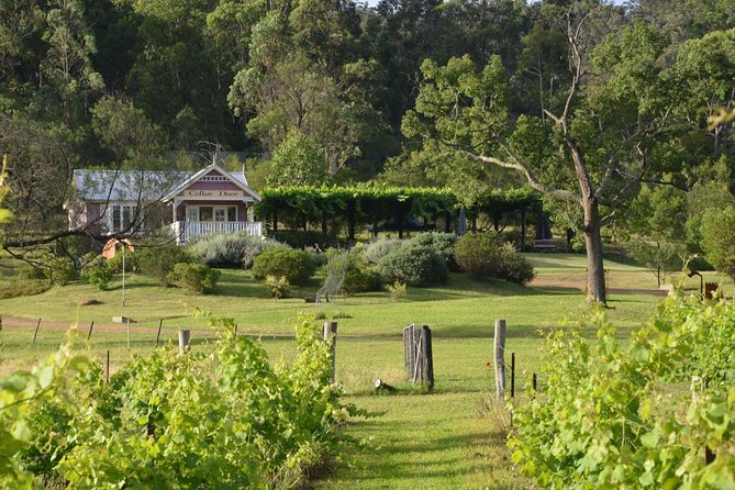Chef-Led Hunter Valley Gourmet Food and Wine Day Tour from Sydney - Why the Sydney Fish Market is the right first stop