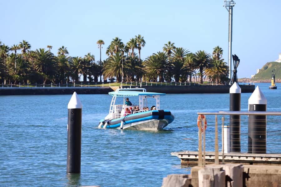Coastal 2.5-hour Adventure Boat Tour from Newcastle - Setting out from Newcastle Cruising Yacht Club