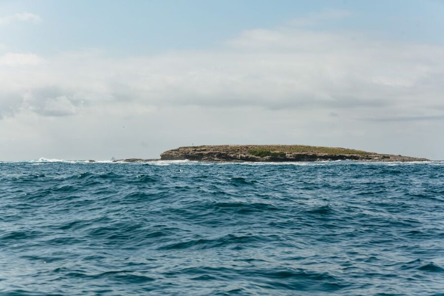 Coastal 2.5-hour Adventure Boat Tour from Newcastle - Aboriginal sites and the meaning of the coastline