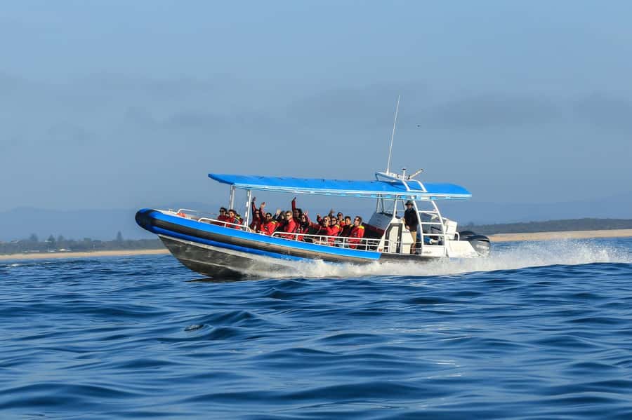 Coastal 2.5-hour Adventure Boat Tour from Newcastle - What the vessel feels like at sea