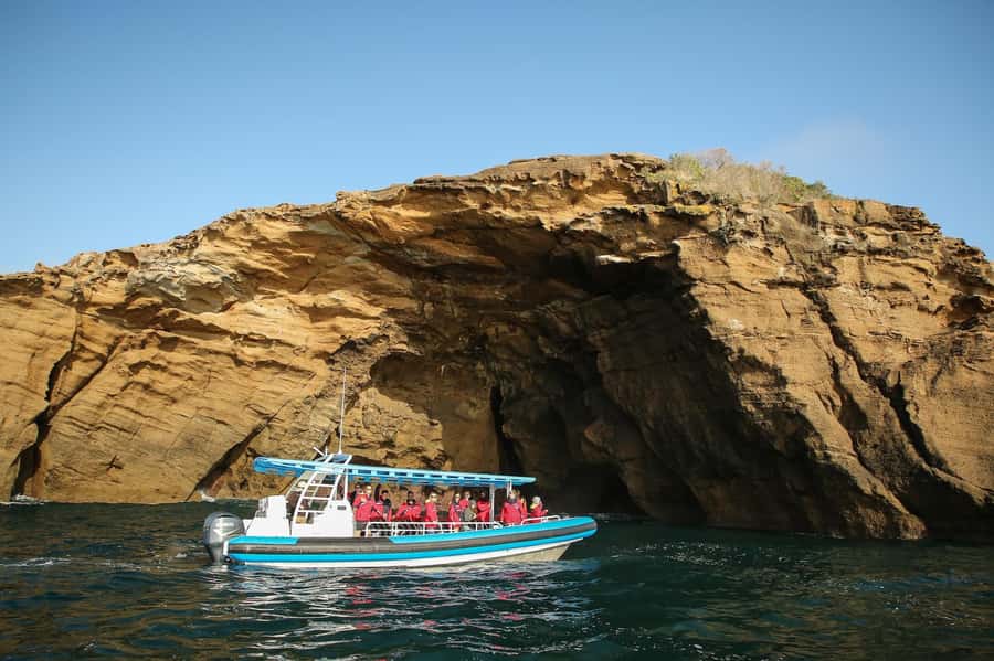 Coastal 2.5-hour Adventure Boat Tour from Newcastle - Newcastle Harbour from the water