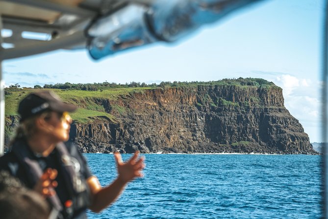Cruise with Dolphins in Byron Bay - Group size, comfort, and the family question