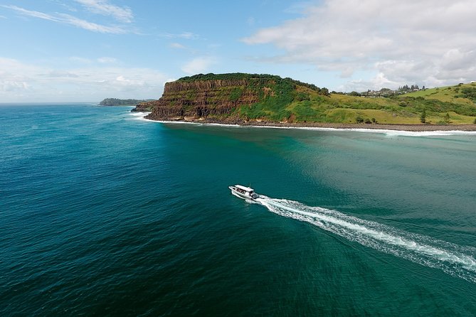 Cruise with Dolphins in Byron Bay - Weather and cancellation planning