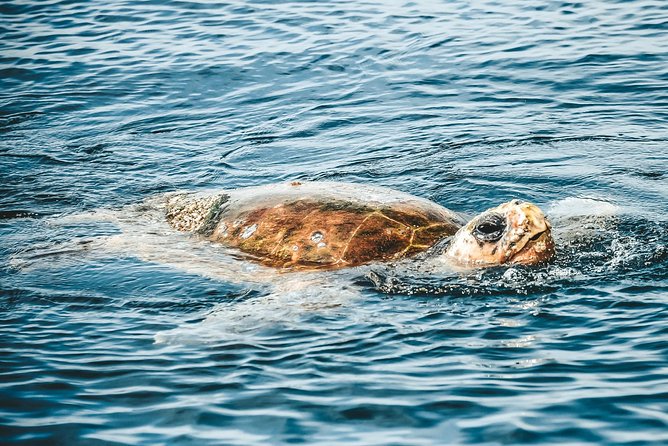 Cruise with Dolphins in Byron Bay - Getting to Lance Ferris Wharf in Ballina
