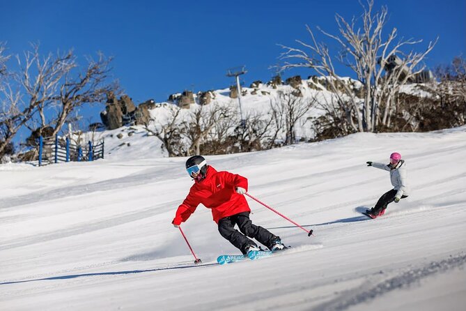 Day Trip To Snowy Mountains From Sydney - The private driver makes the biggest difference