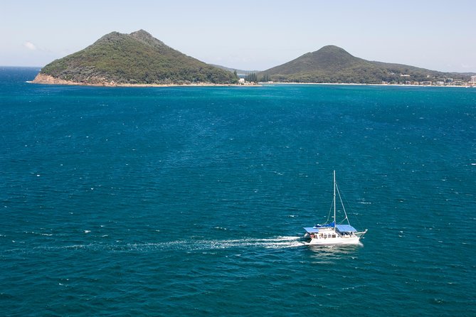 Dolphin Watch + Sailing - Port Stephens - Coffee, tea, and a comfortable pause on the bay