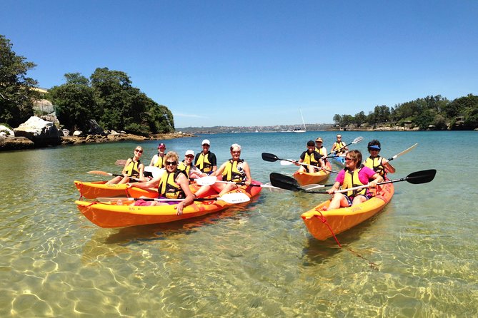 Double Kayak Hire - 4 Hours - Why North Harbour Works So Well By Kayak
