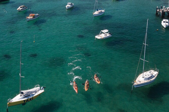 Double Kayak Hire - 4 Hours - Beaches, Swimming, And Picnic Time